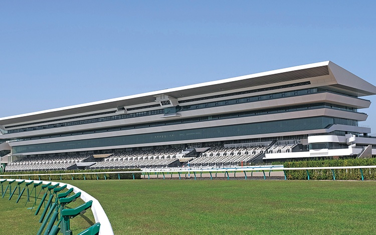京都競馬場