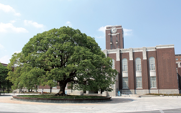 京都大学
